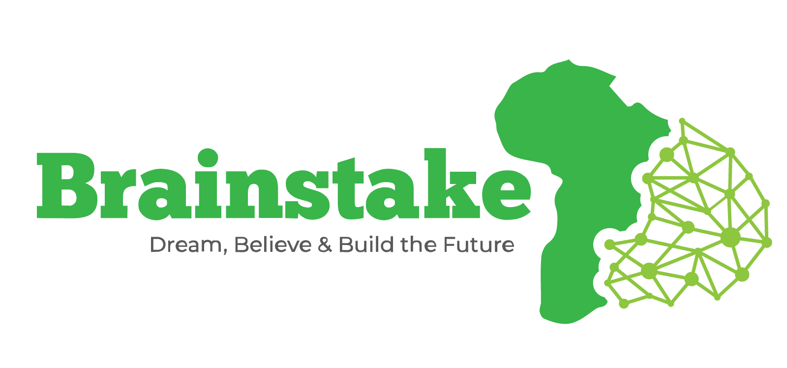 Brainstake Smart Systems Logo